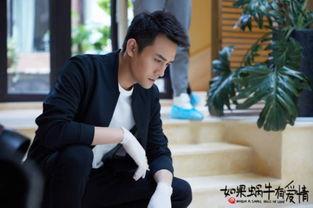 电视剧蜗牛也有爱情在线观看,浪漫邂逅，温情治愈之旅  第1张